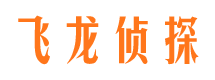 夏河侦探调查公司